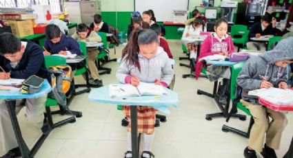 ONG exige a SEP mejorar la calidad educativa