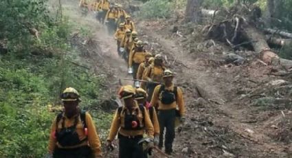 Viajarán hidalguenses a Canadá para combatir incendios forestales