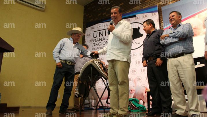 Guanajuato 6° lugar en producción de carne de cerdo  