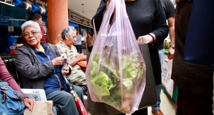 Empresas y comerciantes impugnan veto para poder usar bolsas de plástico