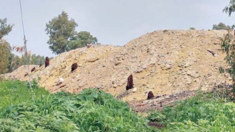 Salamanca: Licita Semarnat trabajos de retiro de residuos peligrosos de Tekchem