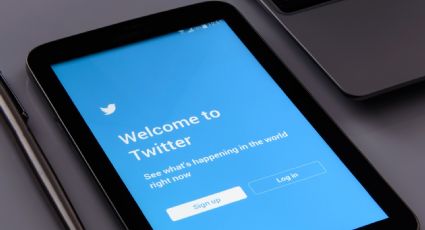Pierde Twitter 75% de usuarios en Guanajuato