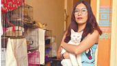 Gaticos León: 200 gatos buscan una familia que les den mucho amor