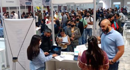 Salamanca: Ofrecen empleo para más  de 2 mil personas
