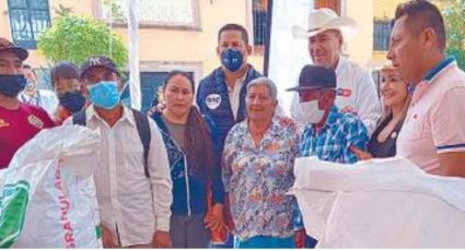 Guanajuato: Ayudará Congreso a productores de fresas en Irapuato para eliminar plagas de cultivos