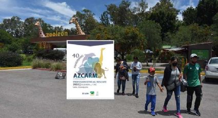 Prepara ZooLeón el Congreso Nacional de la Asociación de Zoológicos y Acuarios de México