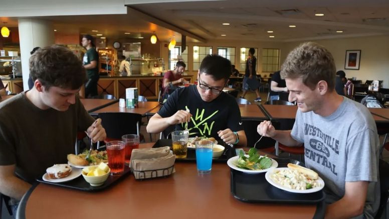 Alimentación en la Universidad