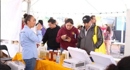 Baja en Guanajuato producción de miel por falta de flores en la región
