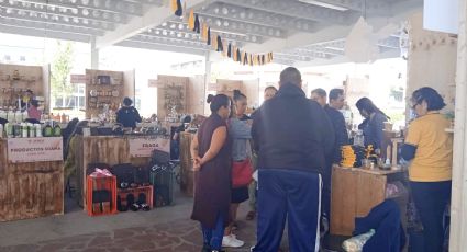Reportan pocas ventas en Festival de la Miel en León