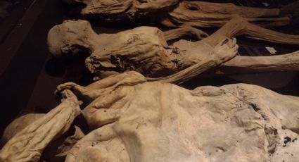Exhiben cuerpos con muertes trágicas en el Museo de las Momias de Guanajuato