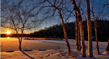Solsticio de invierno; hoy será la noche más larga del 2023