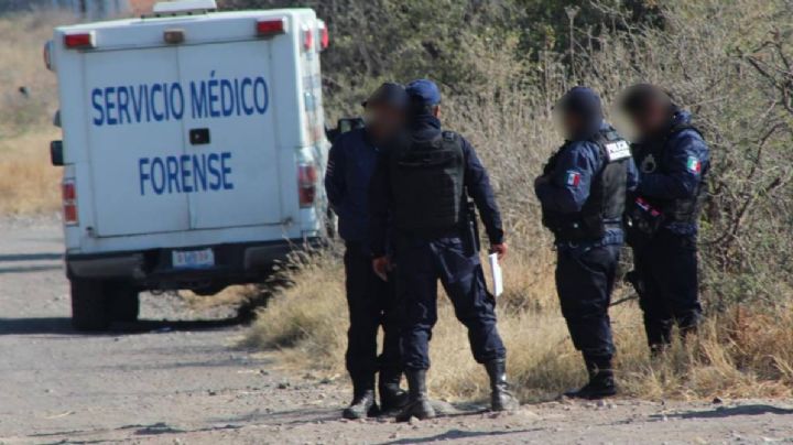 Una madre buscadora propone un pacto de paz a cárteles, y AMLO la apoya