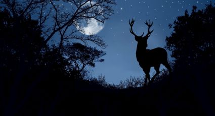 La Luna de Ciervo iluminará el cielo nocturno este 13 de julio: ¿Cómo la puedes observar?