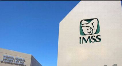 IMSS permite afiliarse de manera independiente, aquí te decimos los costos