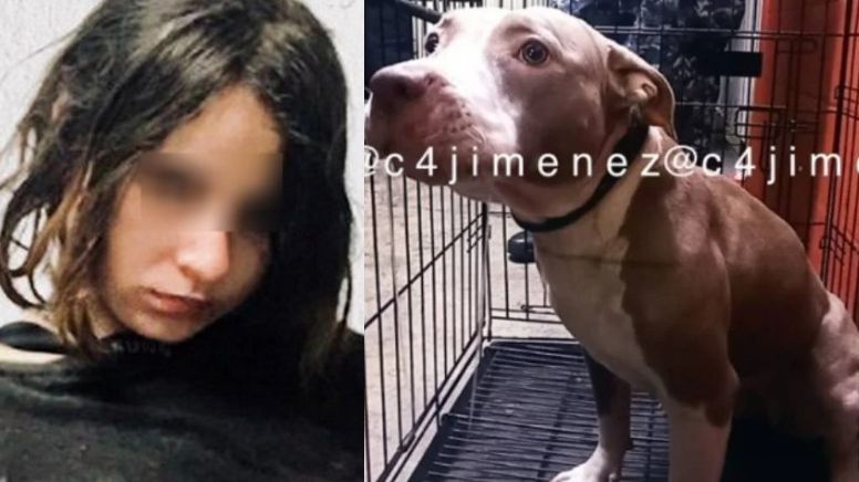 Crimen en CDMX: Karla, la joven que asesinó a su madre y su tío, ahora su perra Luna será adoptada