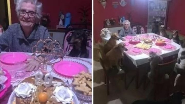 Se vuelve abuelita viral en su cumpleaños 89, que celebró con sus 10 perros