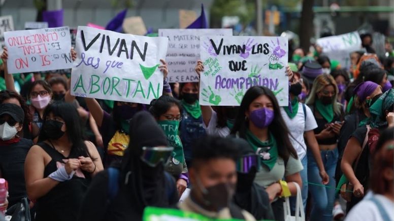Inmujeres pide al Congreso normar el aborto en Guanajuato