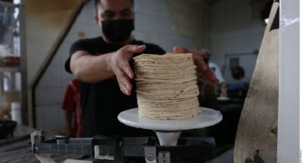 Tortillas piratas: Cómo identificarlas y cuál es el riesgo de comerlas