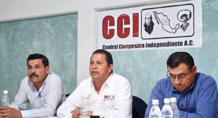 Campo Guanajuato: Faltan recursos y personal en oficinas federales, alertan líderes campesinos