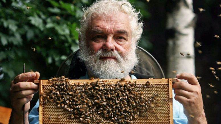 Reina Isabel II: Se le avisó hasta las abejas de su muerte