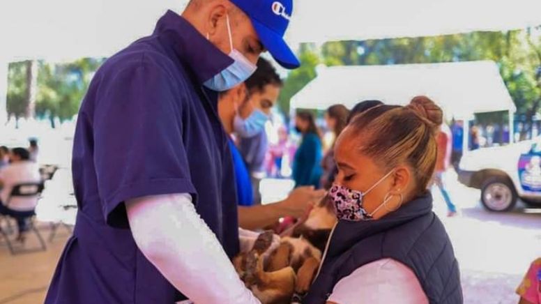 Este domingo inicia vacunación antirrábica para perros y gatos en todo Guanajuato
