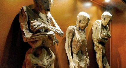 Guanajuato capital: Navarro dará prioridad a conservación de las momias; remodelarían museo actual