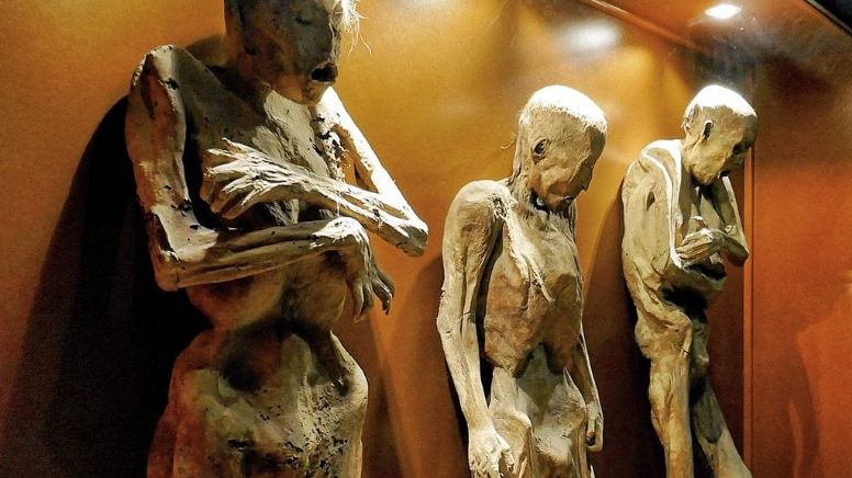 Guanajuato capital: Navarro dará prioridad a conservación de las momias; remodelarían museo actual