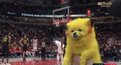 VIDEO: Aficionado llevó a su perro pintado como Pikachú a la NBA