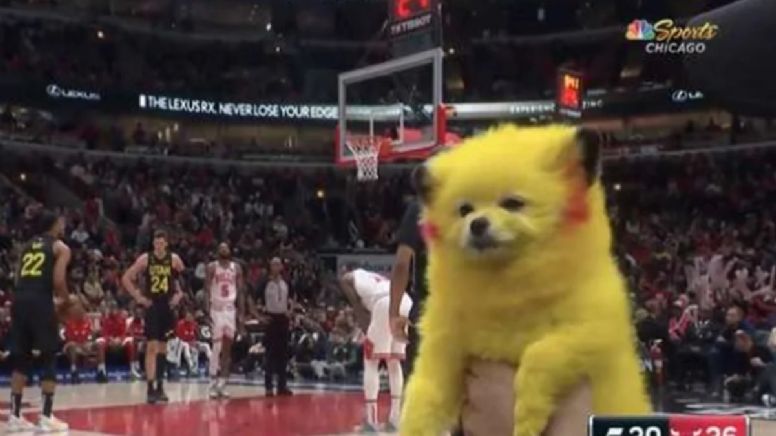 VIDEO: Aficionado llevó a su perro pintado como Pikachú a la NBA