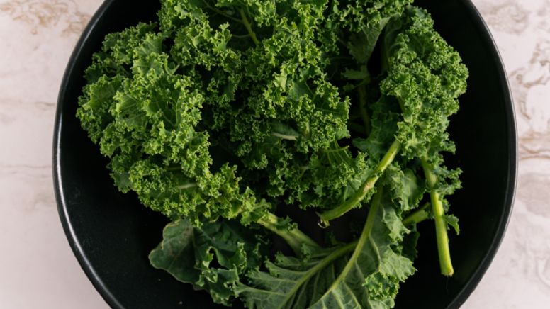 ¿Sabías que la col Kale es un superalimento que aporta más calcio que la leche?