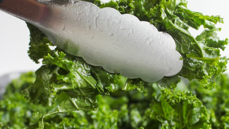 ¿Sabías que la col Kale es un superalimento que aporta más calcio que la leche?