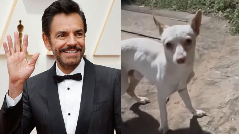 VIDEO: Eugenio Derbez conmueve a todo Instagram por salvar a un perrito de la calle