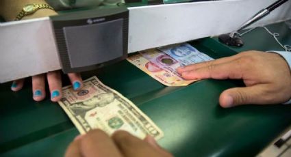 AMLO asegura que dólar seguirá siendo moneda de referencia