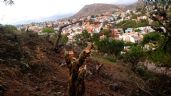 Grupo ecologista denuncia ecocidio en Guanajuato capital para poner un hotel