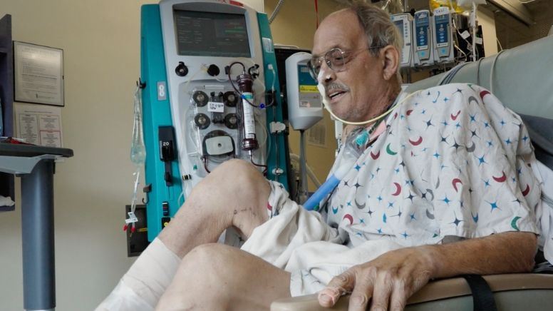 Tras un mes con un trasplante de corazón de puerco, paciente no muestra rechazo