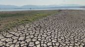 El 82.4 % de la superficie de Guanajuato está en "sequía extrema", dice Conagua