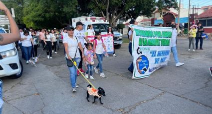 Marchan con sus mascotas en Irapuato para exigir derechos animales