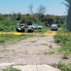 Perros callejeros sacan cuerpos desmembrados de fosa clandestina mientras policías toman puente