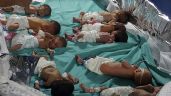 Dramático rescate de 31 bebés prematuros en Gaza: Son evacuados durante bombardeos