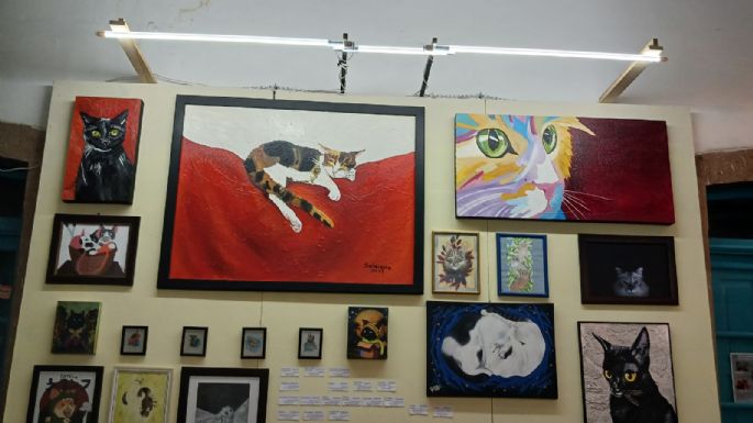 Animal Arts inaugura galería de arte en favor de Gaticos