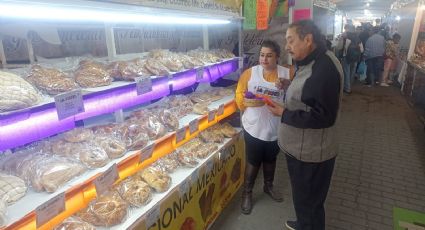 Encabezan mujeres 34% de negocios emprendedores en Hidalgo: Sedeco