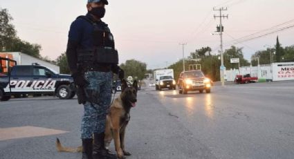 Adquiere PGJEH dos perros para detección de narcóticos y armas, por 468 mil pesos