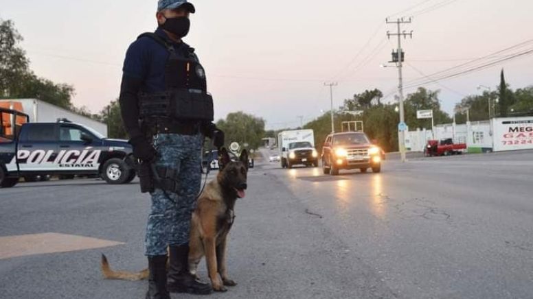 Adquiere PGJEH dos perros para detección de narcóticos y armas, por 468 mil pesos