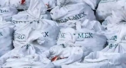 Prepara Segalmex denuncia por cargamento de metanfetamina