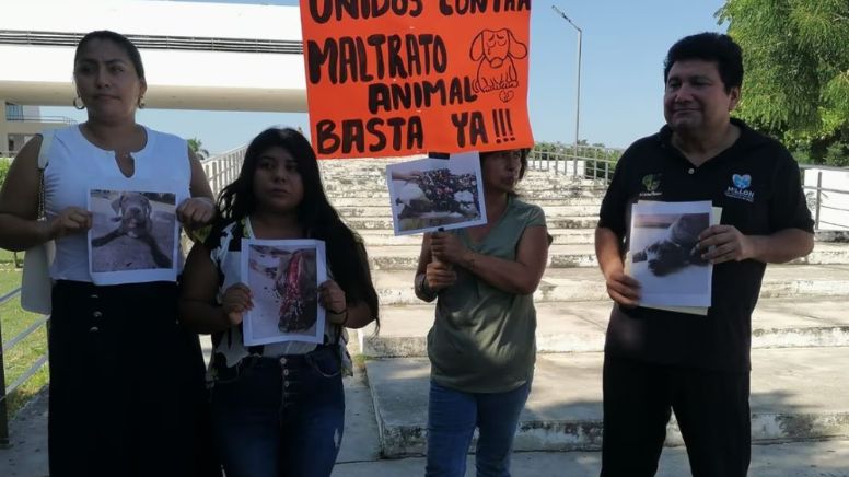 Maltrato Animal: Asesinan a machetazos a ‘Orus’, un cachorro pitbull de 4 meses en Yucatán; dueños denuncian