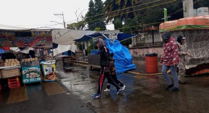 Atípico: entre lluvias inicia vendimia guadalupana en La Villita