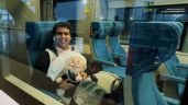 Tren Maya: Así viajan hoy por primera vez; 'Amlitos', instalaciones incompletas y viajes cortos
