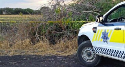 Jaral del Progreso: Asesinan a hombre a balazos en su auto