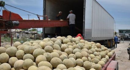 Canadá eleva a 6 los muertos por melones de México, contaminados con salmonela; van 3 en EU