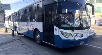 En Celaya 100 unidades del transporte público ya cuentan con internet gratuito